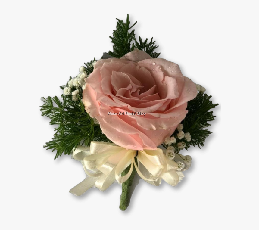 Garden Roses, HD Png Download