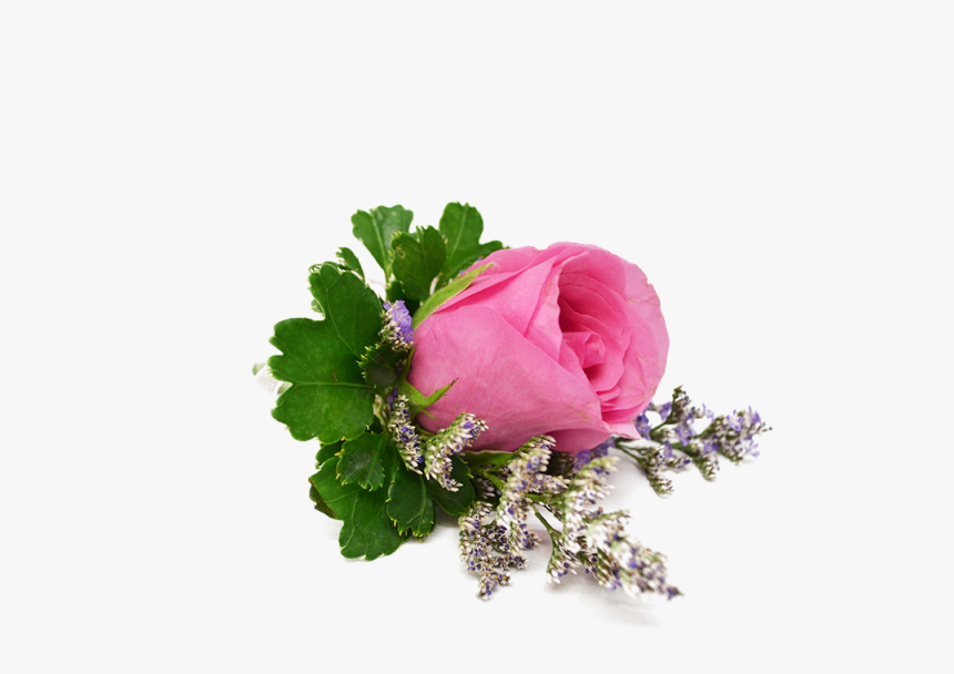 Garden Roses, HD Png Download