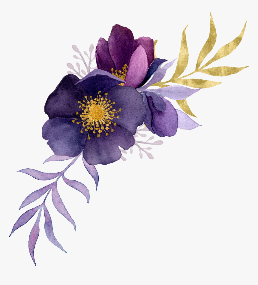 Common Peony, HD Png Download