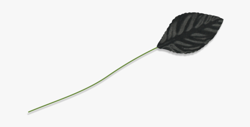Ma3840bk Leaves Black - Kitchen Utensil, HD Png Download