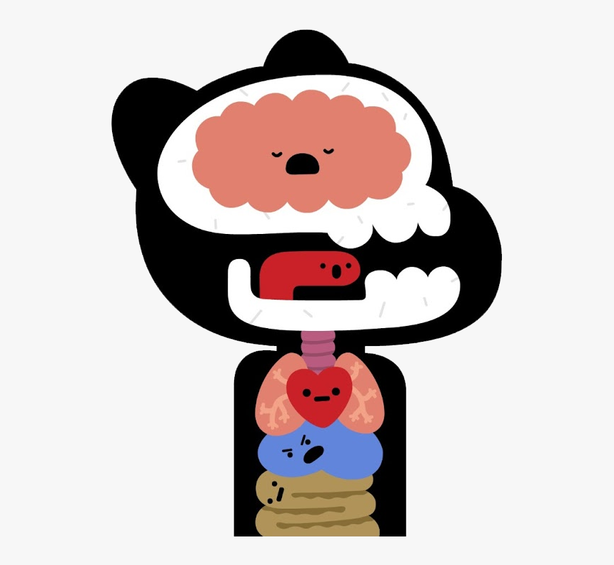 Gumball Internal Organs - Amazing World Of Gumball Organs, HD Png Download