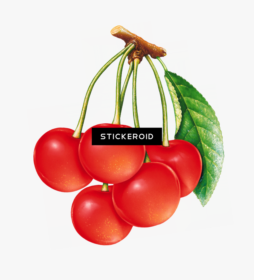Cherries Cherry Fruits Nuts Clipart , Png Download - Fruits Painted, Transparent Png