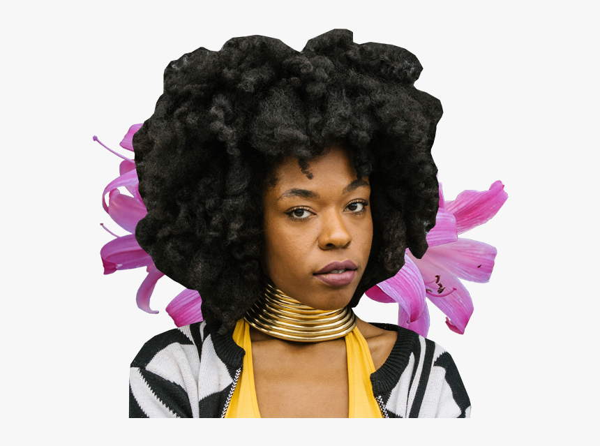 Lace Wig, HD Png Download