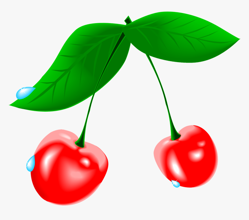 Cherry Cliparts, HD Png Download