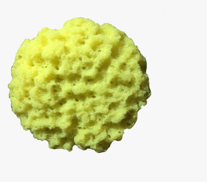 Dessert, HD Png Download