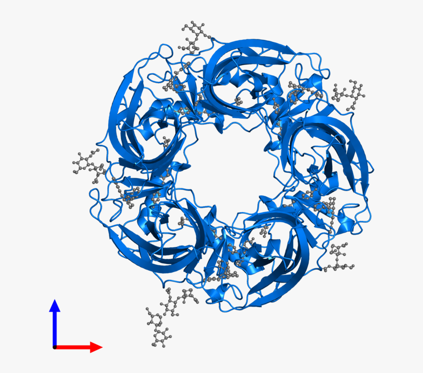 Circle, HD Png Download