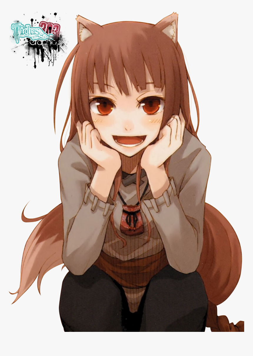 Horo - Spice And Wolf Light Novel 5, HD Png Download