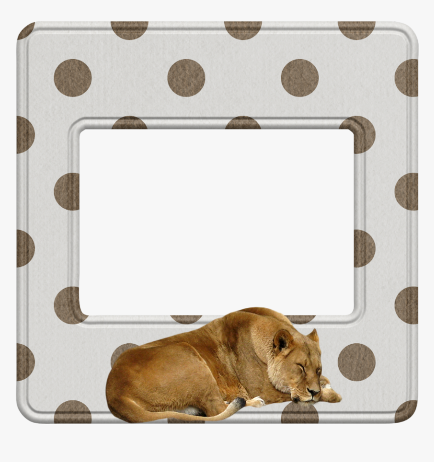 #mq #lion #brown #frame #frames #border #borders - Paw, HD Png Download