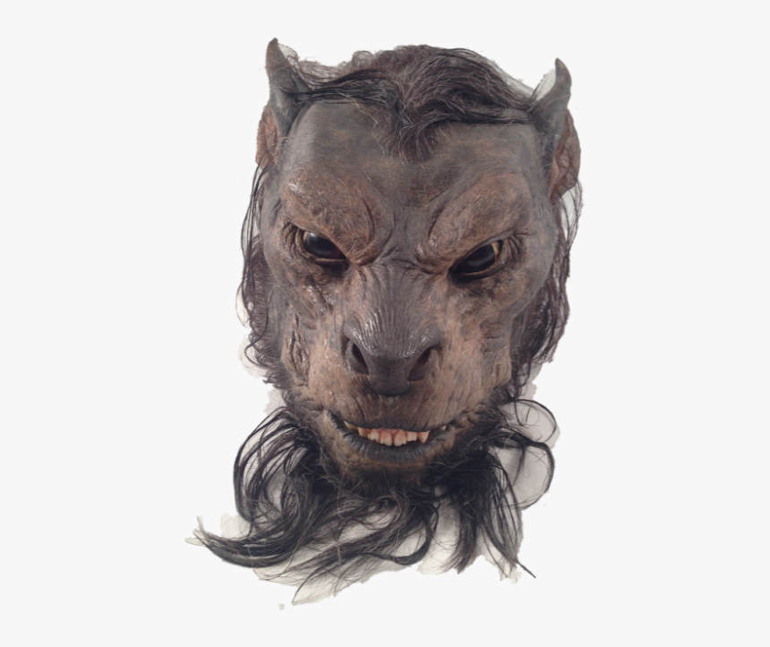 Big Cats, HD Png Download