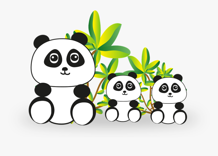 Panda, Panda Bear, Bear, Endangered, China - Lập Dàn Ý Miêu Tả Một Cảnh Đẹp Ở Địa Phương Em, HD Png Download