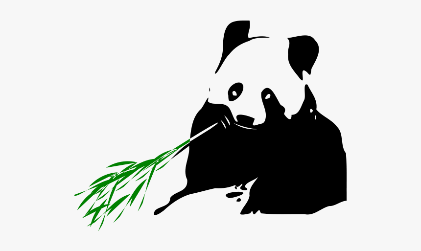 Panda Bear - Panda Eating Bamboo Transparent, HD Png Download