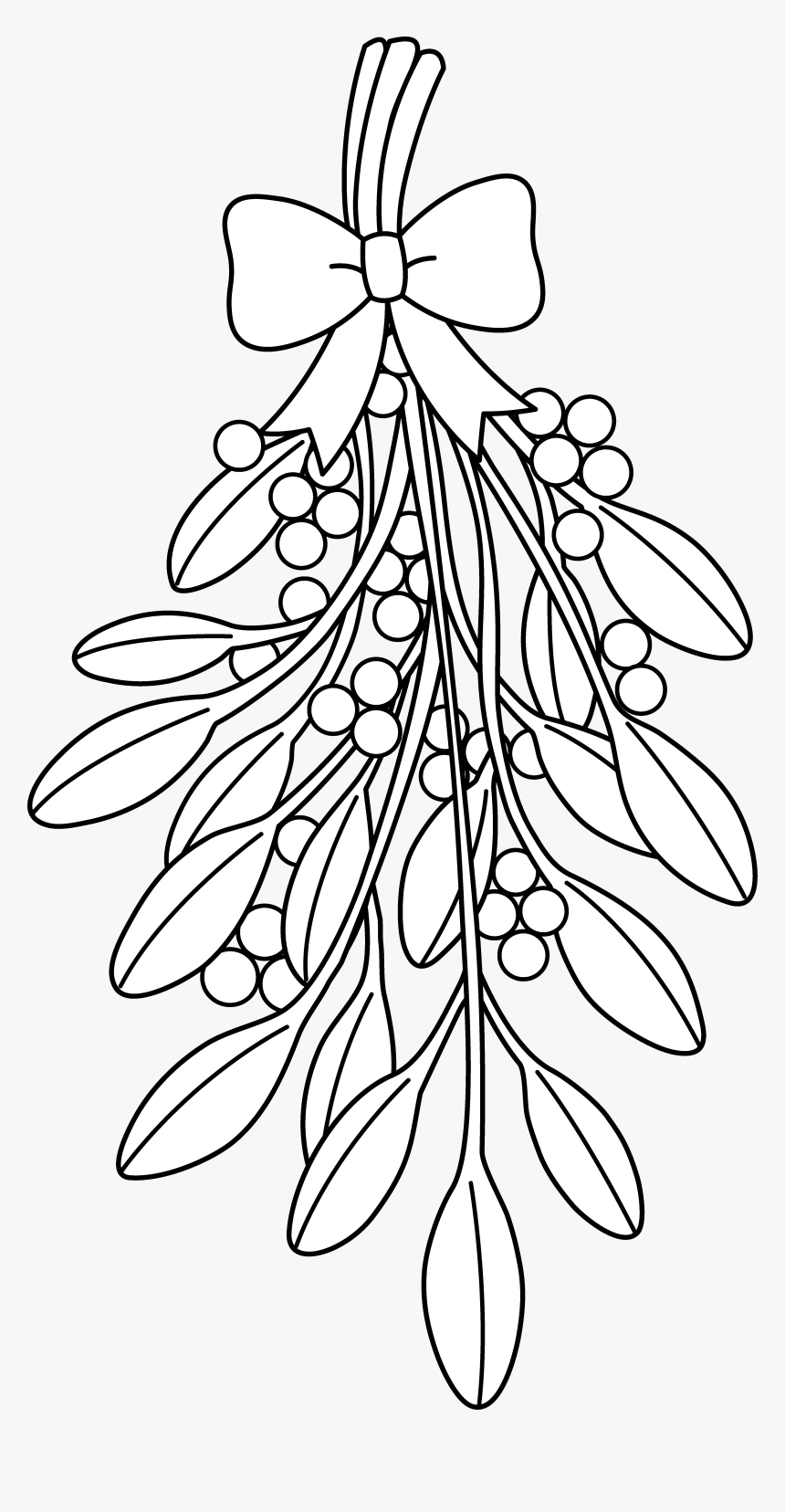 Mistletoe Coloring Pages, HD Png Download