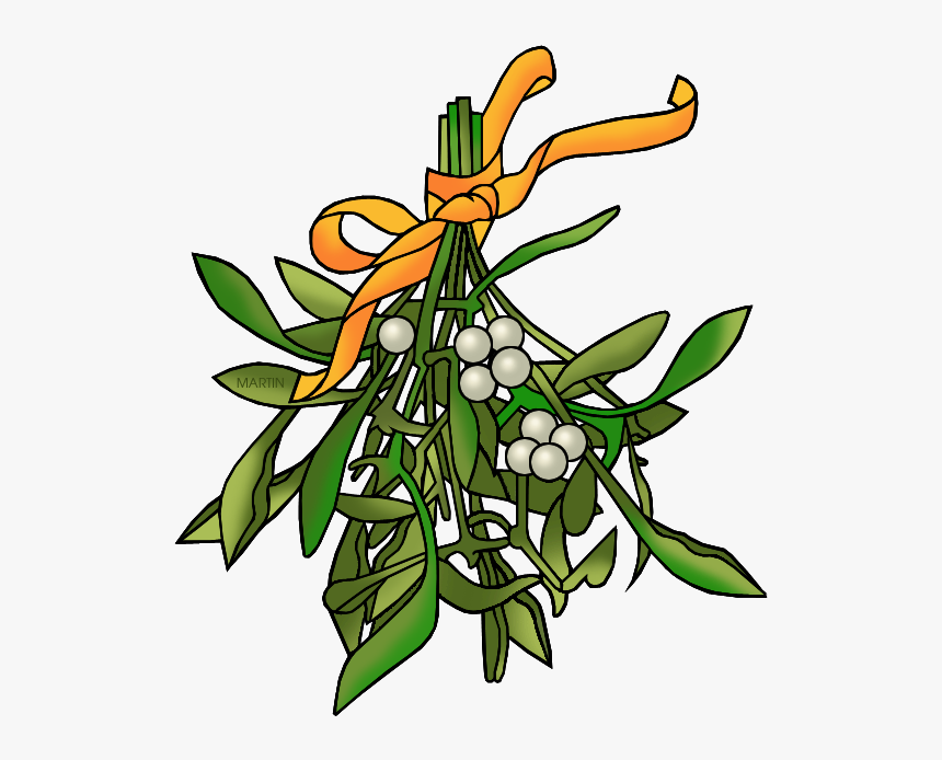 Mistletoe - Clip Art, HD Png Download