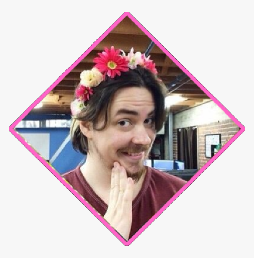Transparent Arin Hanson Png - Artificial Flower, Png Download