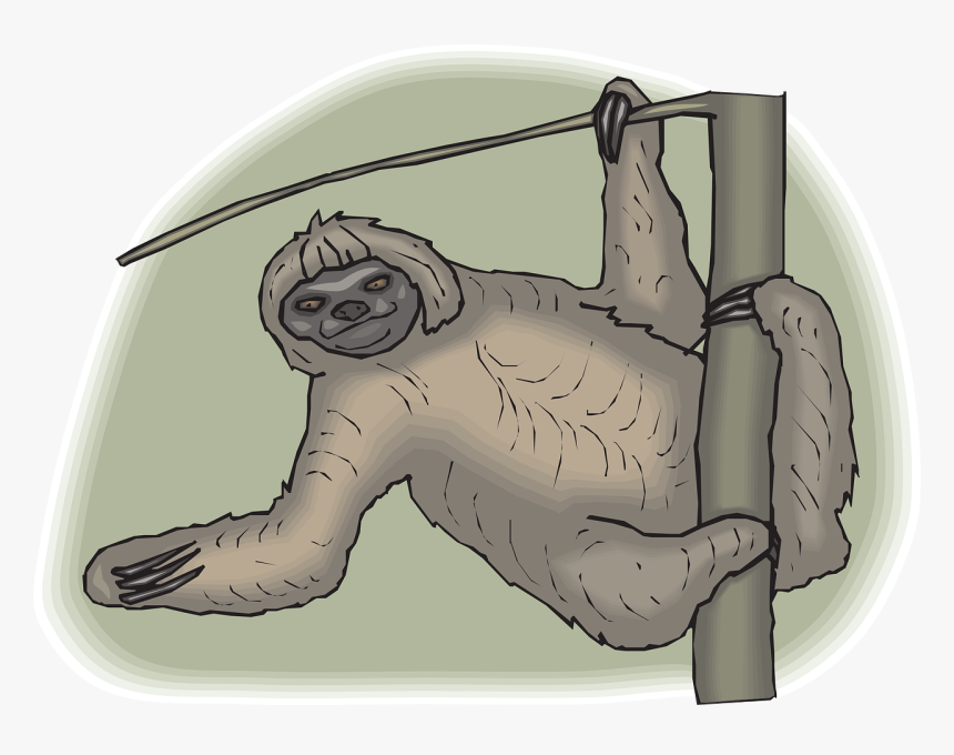 Sloth, HD Png Download