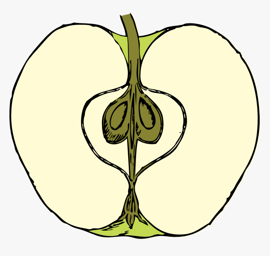 Caramel Apple Computer Icons Cross Section Food - Section Of Apple Fruit, HD Png Download