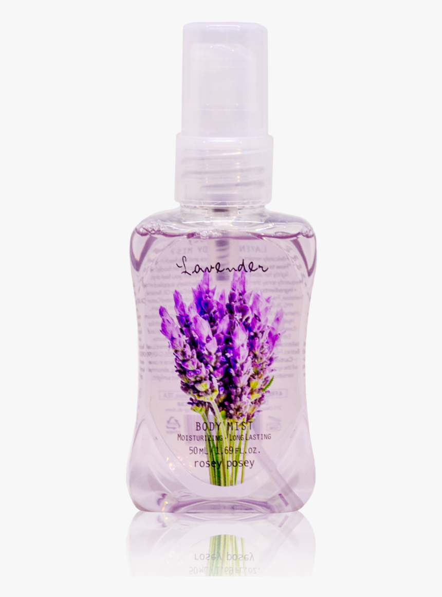 English Lavender, HD Png Download