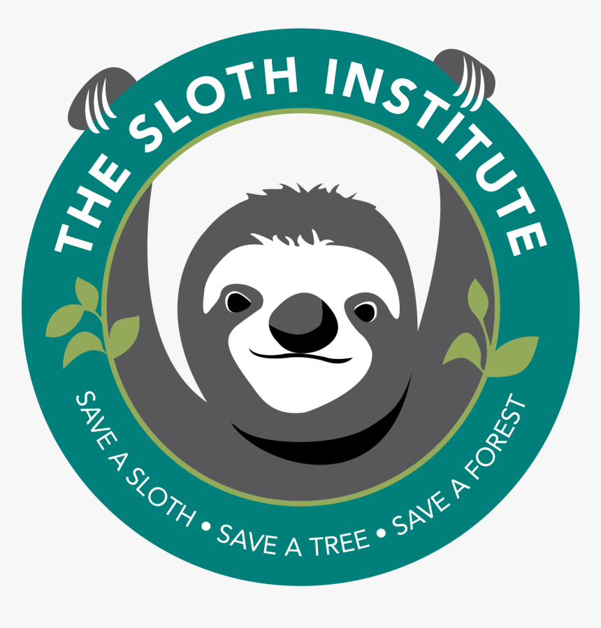Sloth Institute Sloth, HD Png Download