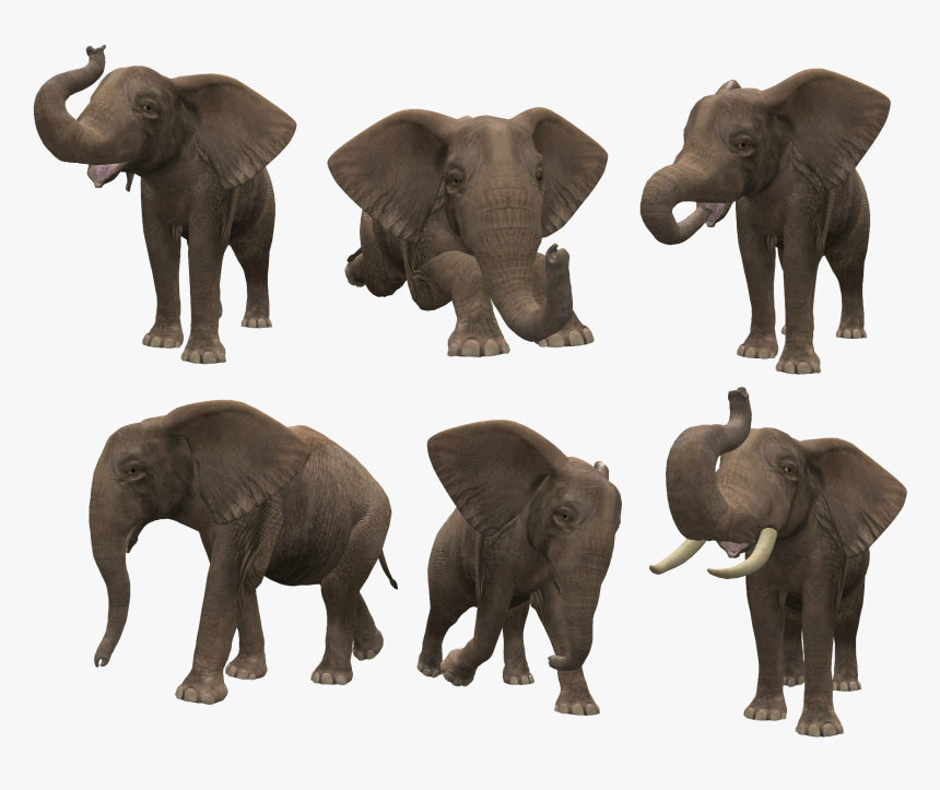 Png Format Png Elephant, Transparent Png