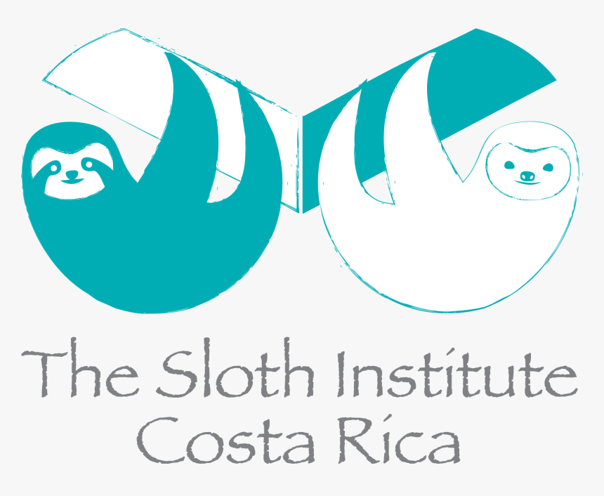 Sloth Institute Costa Rica, HD Png Download