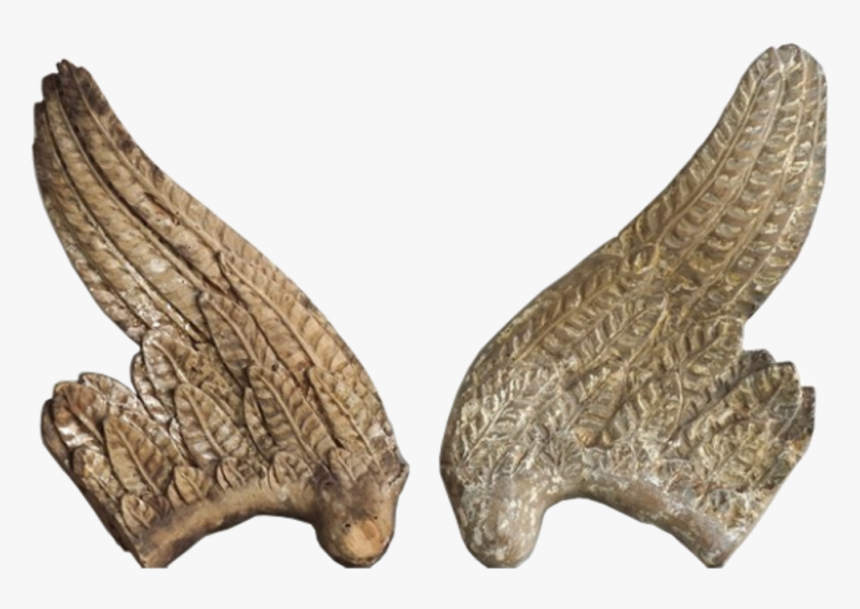 Butterfly, HD Png Download