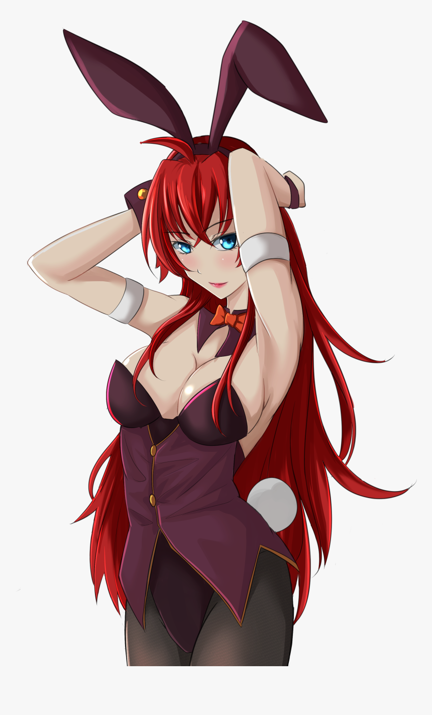 Highschool Dxd Png, Transparent Png