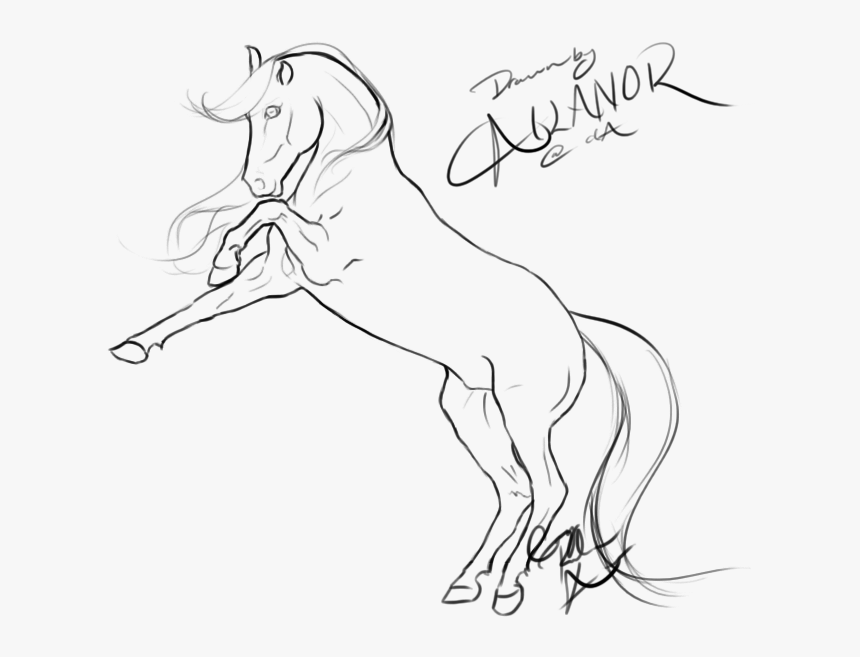 Transparent Jousting Lance Clipart - Rearing Horse Lineart, HD Png Download