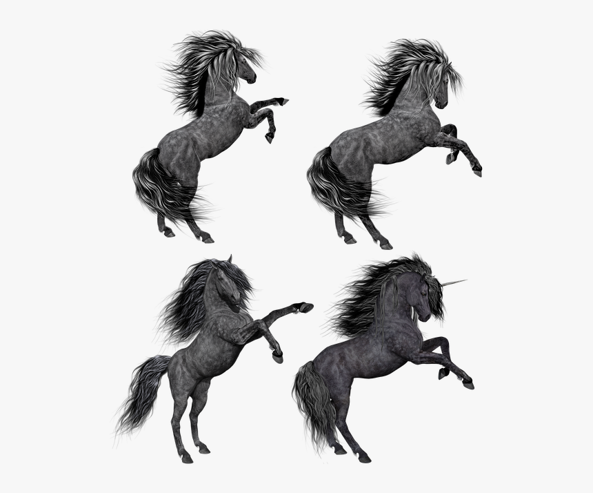 Pony, Horse, Unicorn, Mare, Stallion, Rear, Rearing - Syair Hk 2 Agustus 2018, HD Png Download