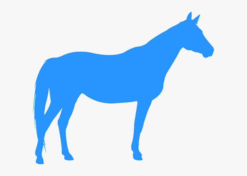 Siluetas De Cavalo Quarto De Milha, HD Png Download
