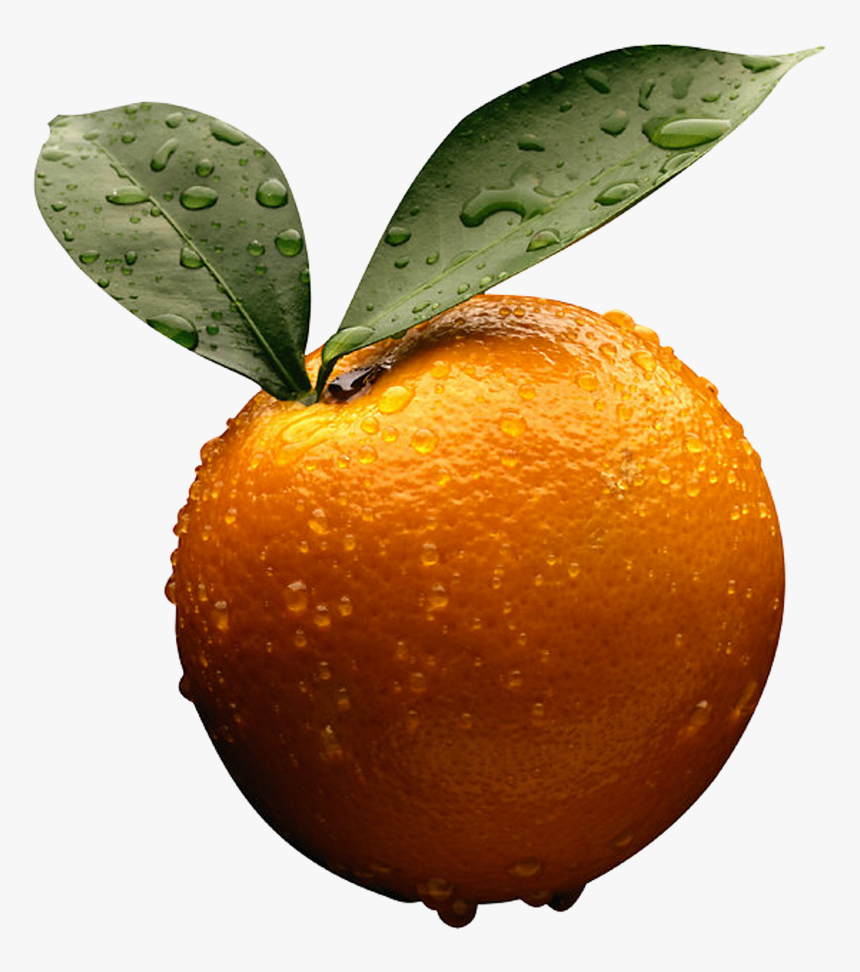 Orange - Orange - Business Accounting By Frank Wood, HD Png Download