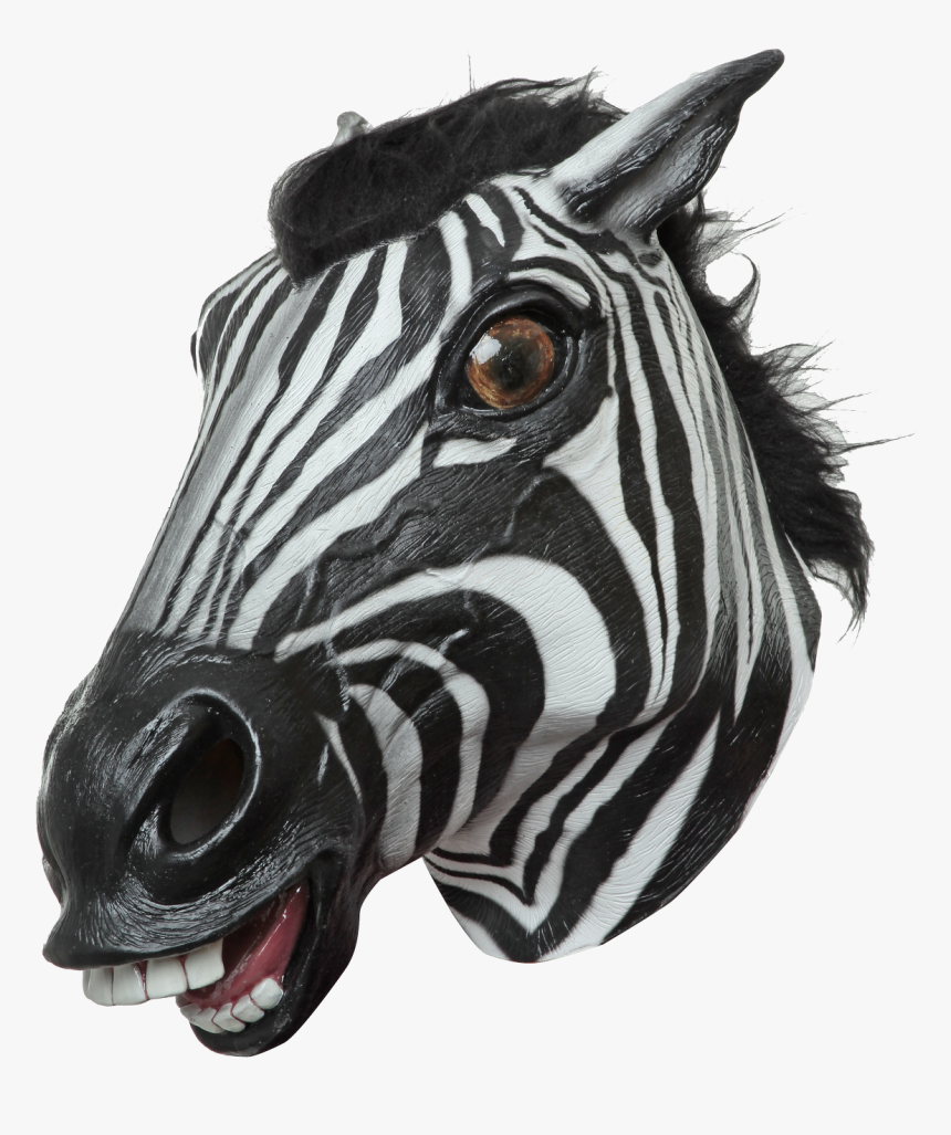 26779 - Zebra, HD Png Download