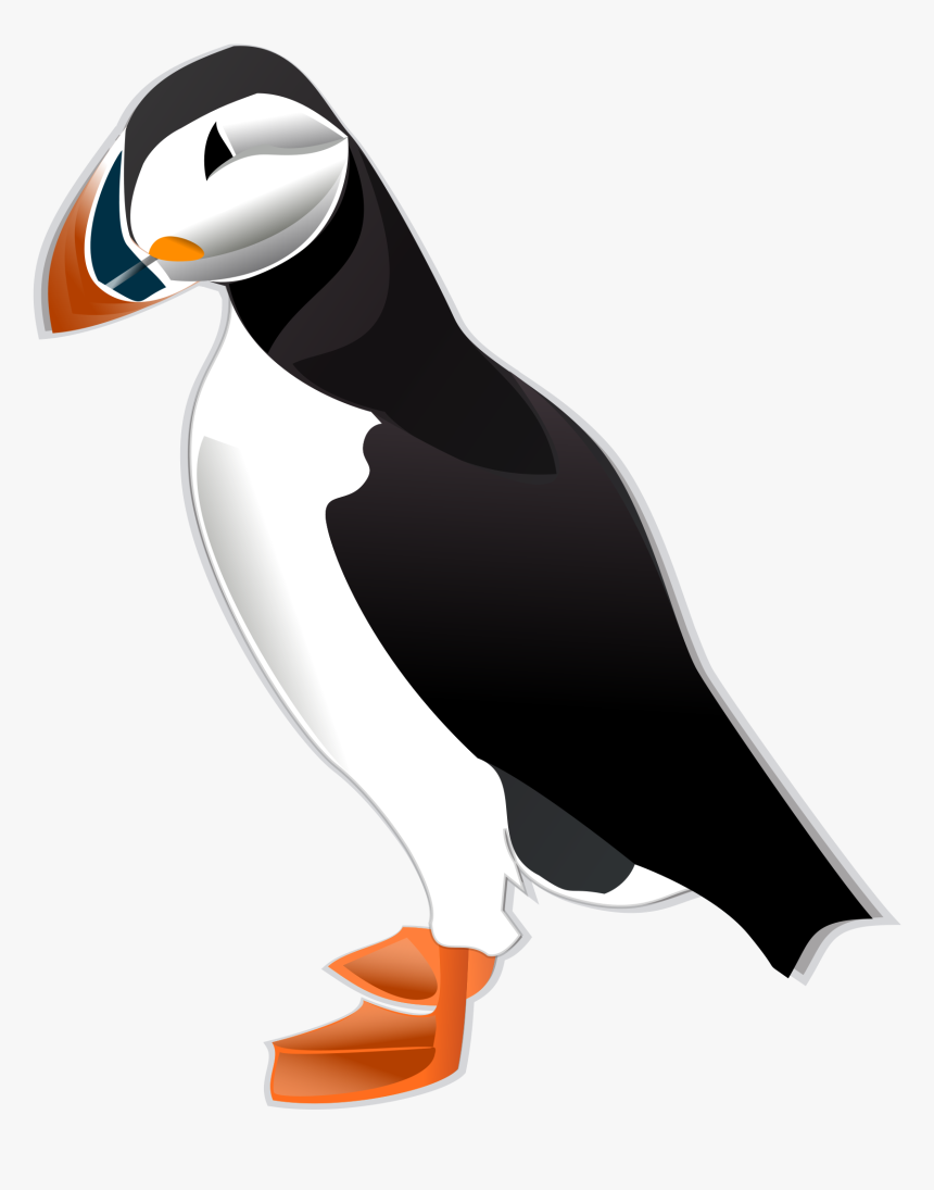 Atlantic Puffin Png - Puffin Clipart, Transparent Png