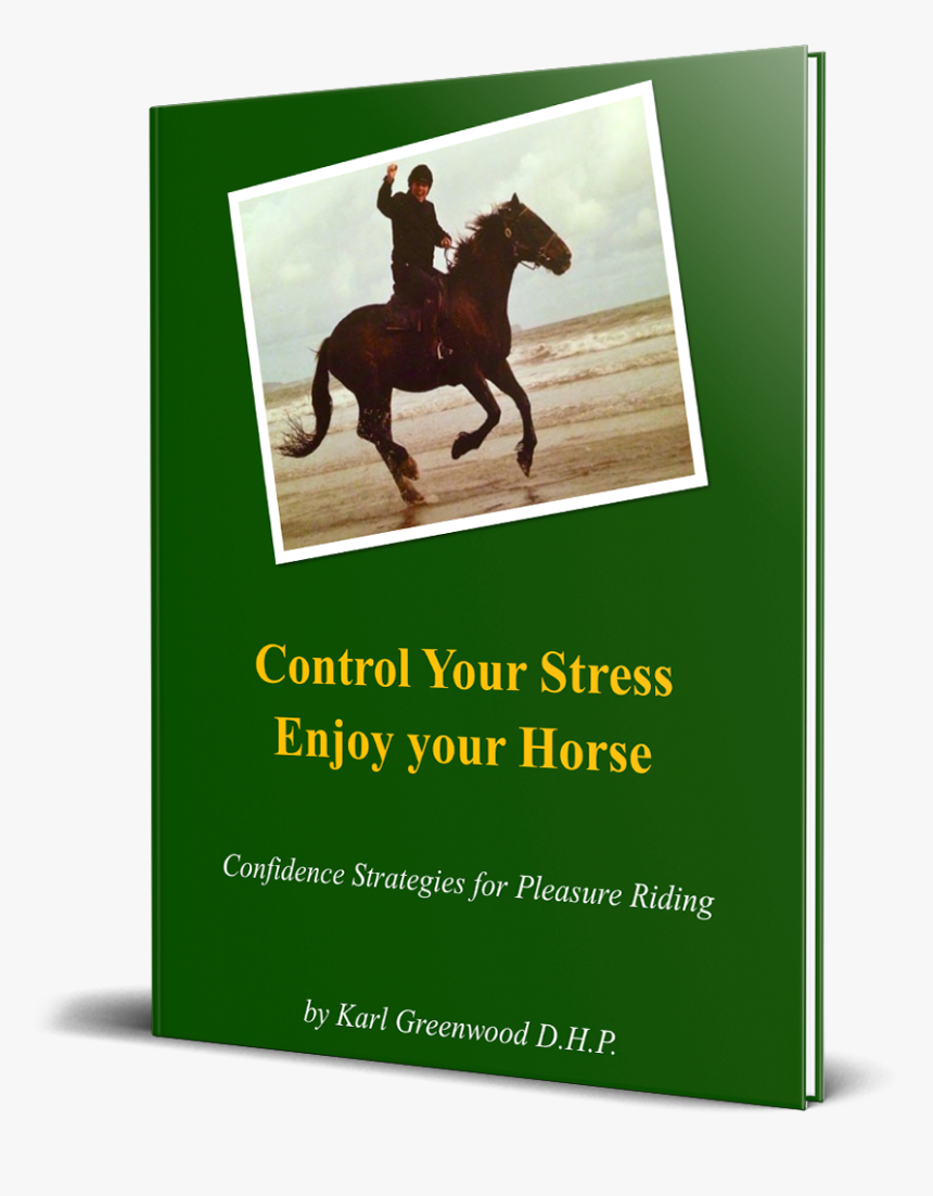 Stallion, HD Png Download