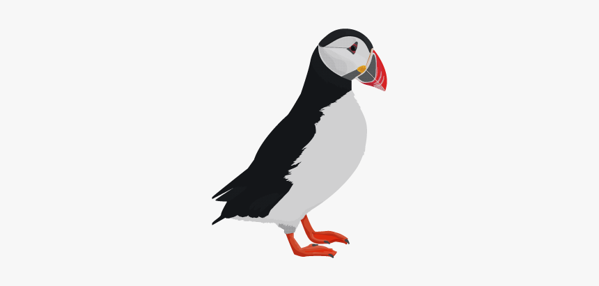 Puffin - Puffin Png Clipart, Transparent Png