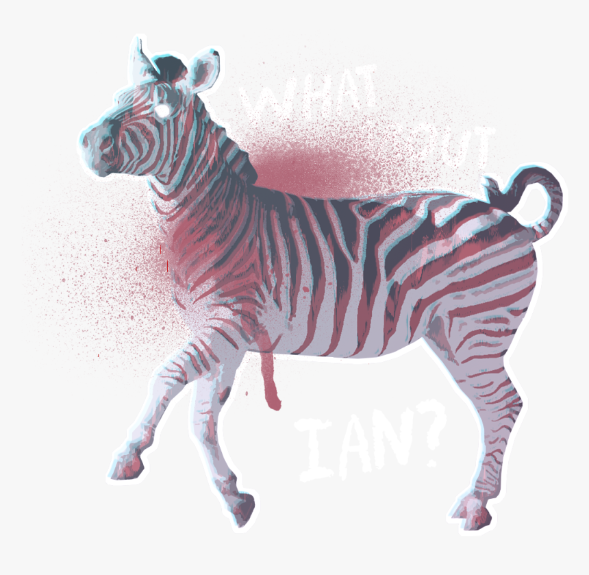 Zebra, HD Png Download