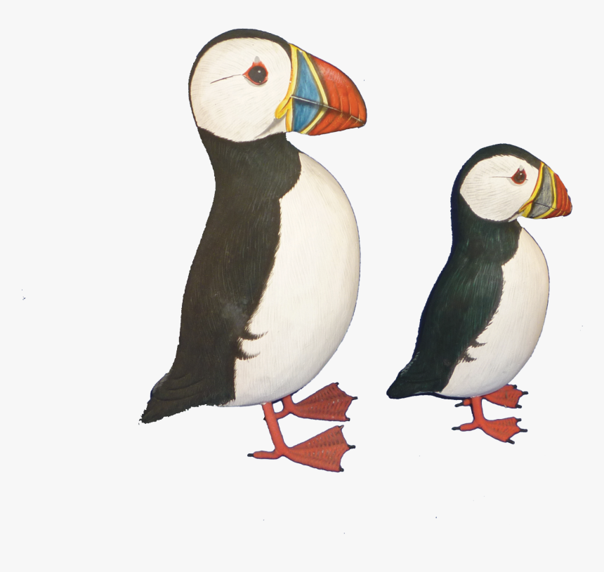 Transparent Puffin Png - Atlantic Puffin, Png Download