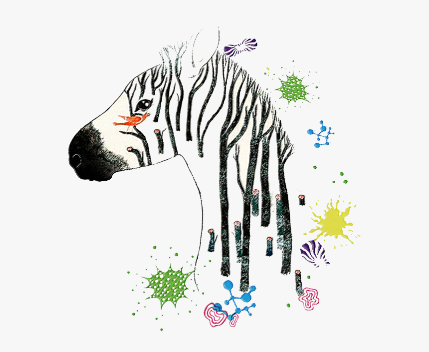 #zebra #zebraprint #zebrahead #zebrastyle #zebracross - Illustration, HD Png Download