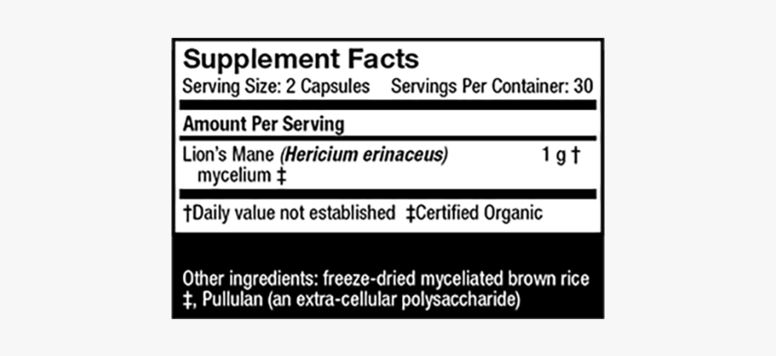 Document, HD Png Download