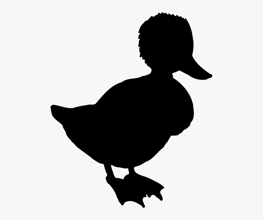Clip Art Silhouette Vector Graphics Atlantic Puffin - Puffin Silhouette, HD Png Download