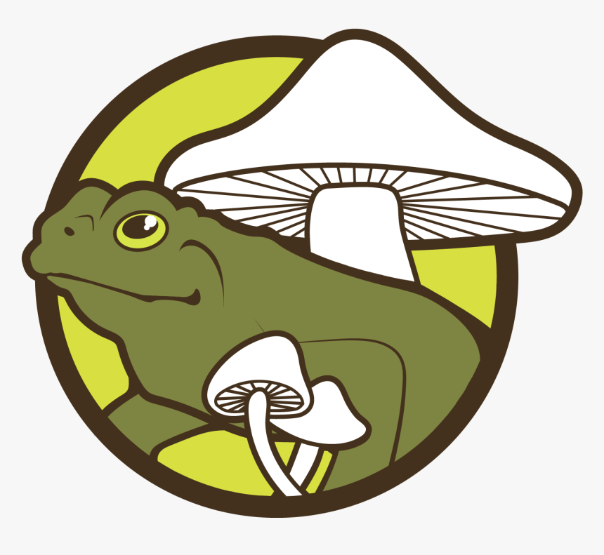 Lion S Mane Brain Tonic / Mushroom Medicine / Tincture, HD Png Download