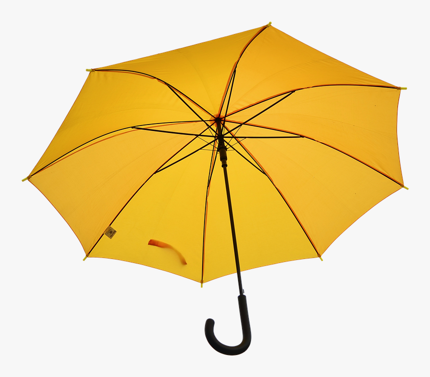 Umbrella Free, Weather, Rain, Screen, Wet, Raindrop - Umbrella, HD Png Download