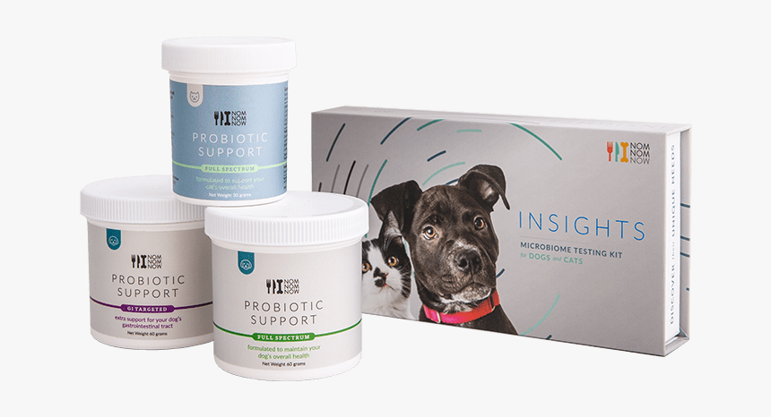 Staffordshire Bull Terrier, HD Png Download