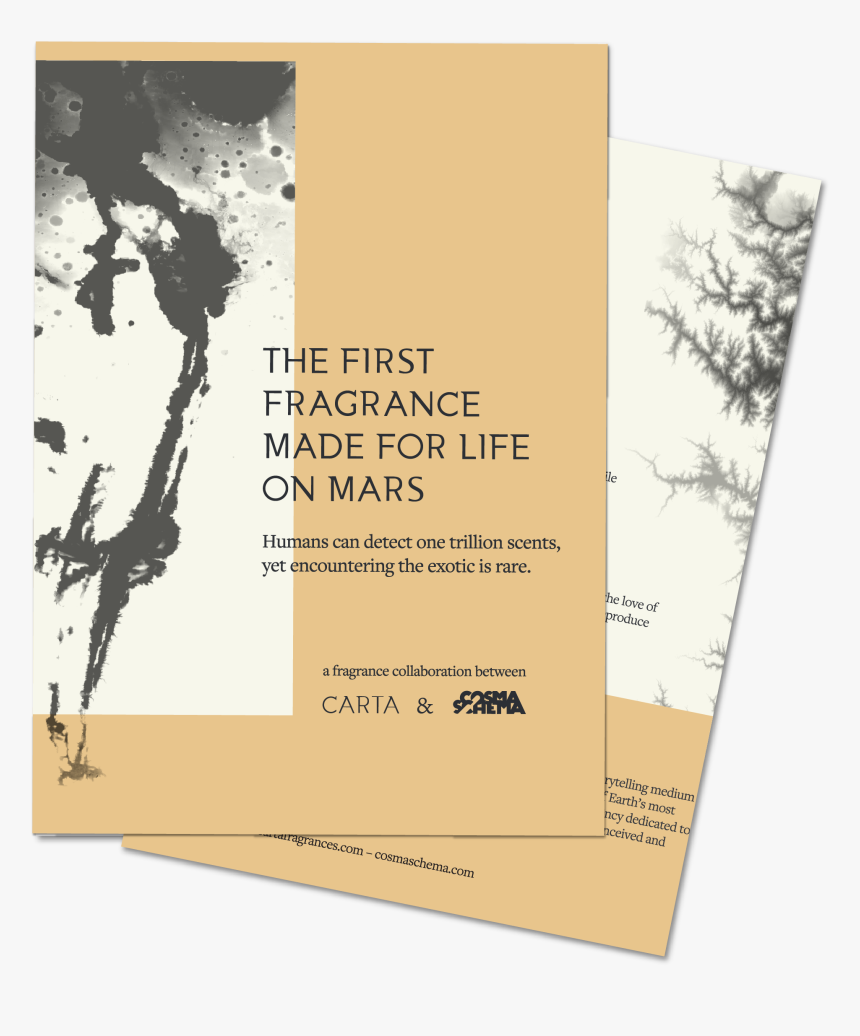 Transparent Carta Png - American Pitch Pine, Png Download