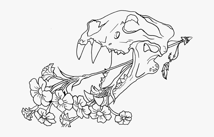 Line Art, HD Png Download