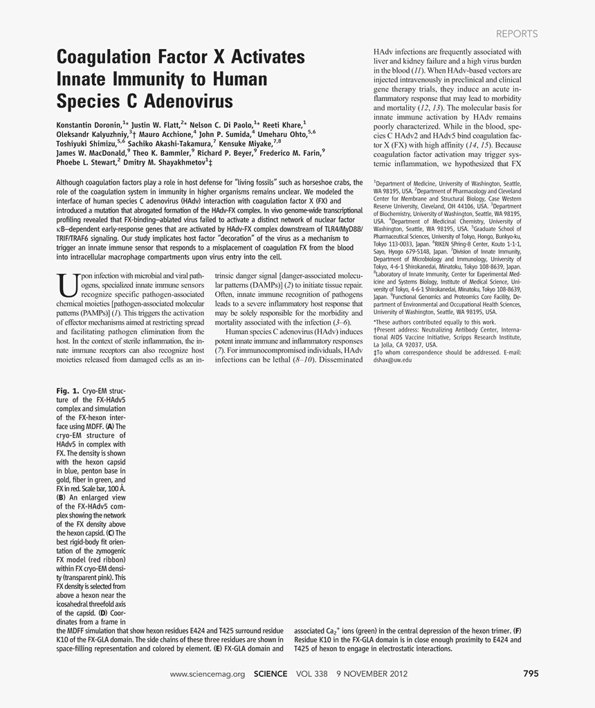 Document, HD Png Download