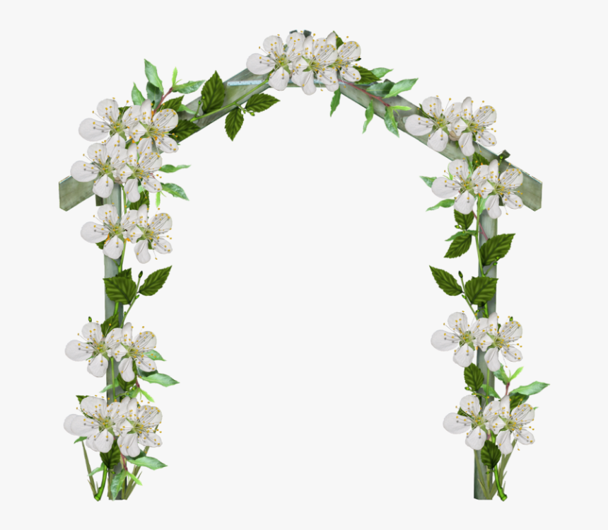 Transparent Flower Arch, HD Png Download , Transparent Png Image PNGitem
