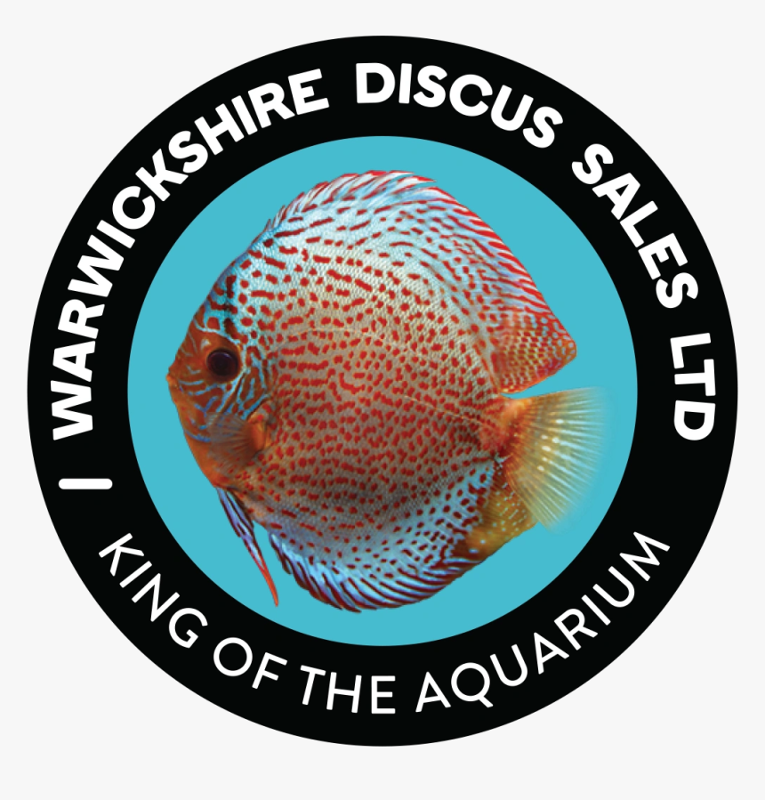 Image130 - Washington Kastles, HD Png Download