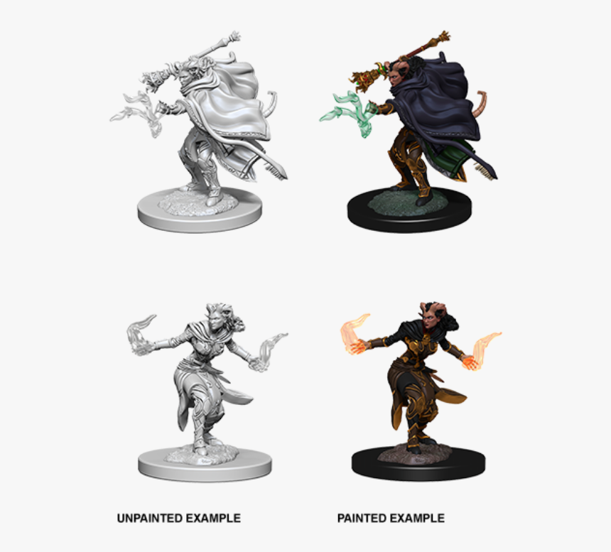 Wzk73389 Female Tiefling Warlock $4 - Nolzur's Marvelous Miniatures Tiefling Warlock, HD Png Download