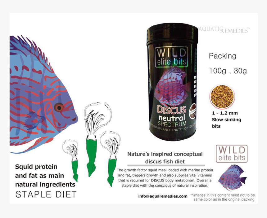 Graphic Design, HD Png Download