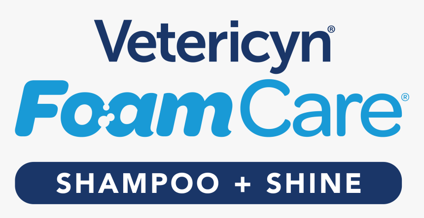 People's Conscience Party, HD Png Download